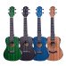 Kaysen U1-24N Concert Ukulele