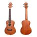 Kaysen U3-24N Concert Ukulele
