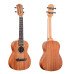 Kaysen UK-K1 Concert Ukulele