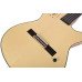 Tayste CG-100EQ Natural Silent Elektro Klasik Gitar