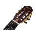 Tayste CG-100EQ Natural Silent Elektro Klasik Gitar