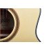 Tayste TS21-40 Akustik Gitar