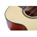 Tayste TS21-40 Akustik Gitar