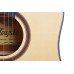 Tayste TS21-41 Akustik Gitar