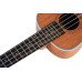 Tayste TUK200-24 Concert Ukulele