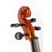 MARCİA VL-044 Başlangıç Kemanı 1/2 Yarım Boy (PARLAK) - 7-9 Yaş